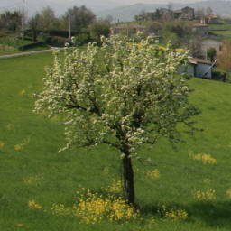 gruenderlust's profile picture. Über die pure Lust am Gründen