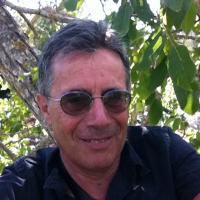 Massimo Marino (@minimoterrestre) 's Twitter Profile Photo Massimo Marino (@minimoterrestre) 's Twitter Profile Photo