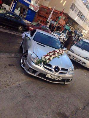 6202dcad798a411's profile picture. taherhyasat