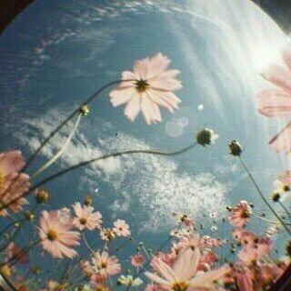 Mone32323's profile picture. Instagram ;sha.