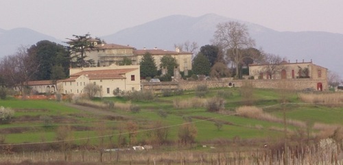 andreaballi's profile picture. 