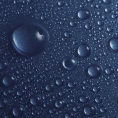 ry8o5s1's profile picture. 