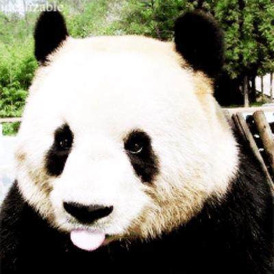 翻车鱼さんのプロフィール画像