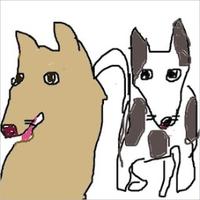 絲山秋子 (@akikoitoyama) 's Twitter Profile