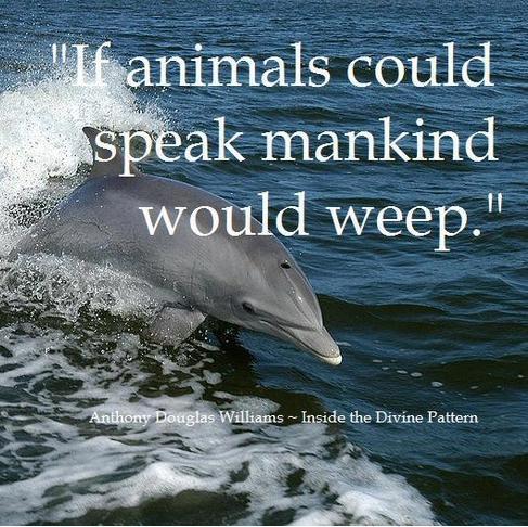 #EmptyTheTanks #FreeTilikum #FreeLolita #FreeMorgan #FreeKiska #Blackfish #tweet4taiji #1Voice4Dolphins