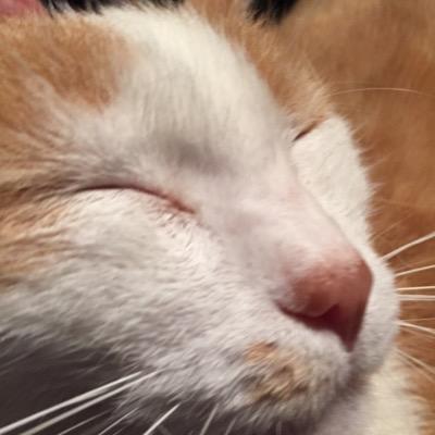 John53276296's profile picture. 