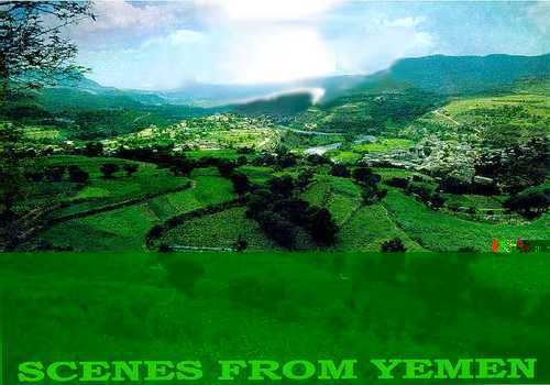 wecanchange11's profile picture. 