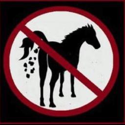 Image result for horse shit