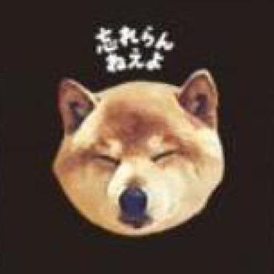 お酒,古着,音楽,ライブが好きです(ฅ'ω'ฅ)♪,,, tricot,きのこ帝国,モールル,フジファ,HINTO,ハラフロムヘル,或るミイ,など,,,