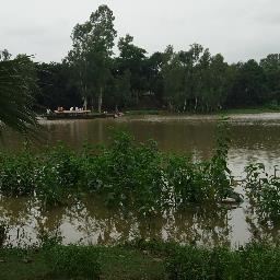 AhmLaurel's profile picture. 