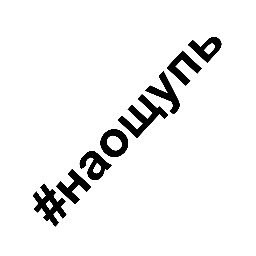 naoshup's profile picture. 