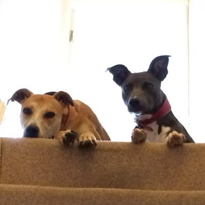 Debvo18's profile picture.