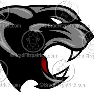 PALLOTTI FOOTBALL Profile