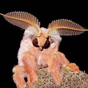 Valdac84's profile picture. 