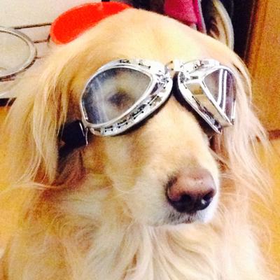 はろ On Twitter 前まではqcma単体だとpsvitaを接続しても反応してくれなかったんだよね
