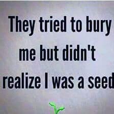 NicaBlissBlair's profile picture. 