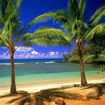 Pure escape: glittering white beaches, balmy breezes, swaying palm trees, blue skies, colorful sunsets, and tranquil ocean waters.