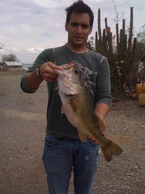 daniel salinas