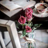 jooj💕🌹 (@jojo_jode1) Twitter profile photo