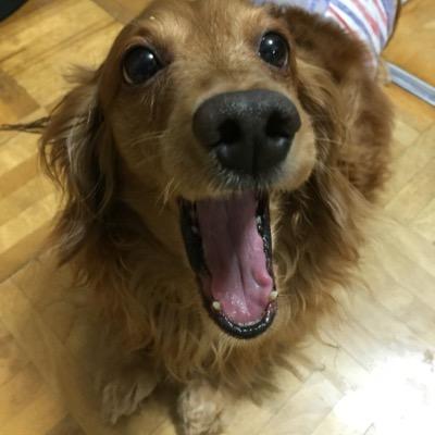 ac654ebtaka's profile picture. Ｓ63.7 生まれ
ボウリング、海釣り、野球、カフェ巡りが趣味☆