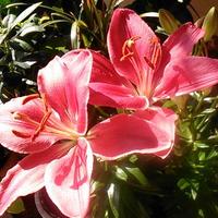 Carme Gaspar (@gasparcarme) 's Twitter Profile Photo