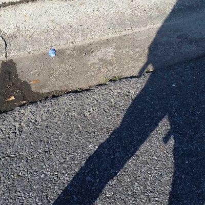 Piviting's profile picture. niggas plotting.