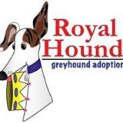 Royal_Hounds's profile picture. Royal Hounds is a 501(c)3 with the goal of finding loving homes for ex-racing and retired Greyhounds.