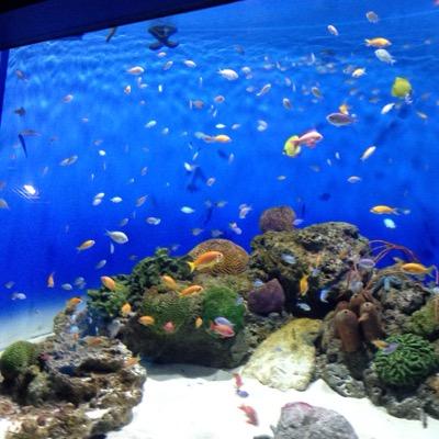 0JztIdL2vlkRka7's profile picture. Hello