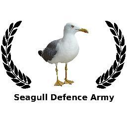 By any (non-violent) means necessary we will defend our flying friends.  Principal negotiators in the human-seagull peace process.

Follow us to join us.