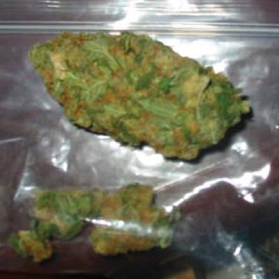 Austin420W's profile picture. 