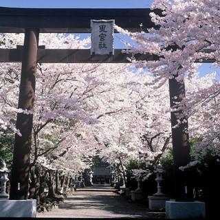 山梨県富士河口湖町「冨士御室浅間神社」の公式アカウントです。 富士山最古の神社として、富士山世界文化遺産構成資産に登録されております。 9:00-16:30（冬季は9:00-16:00） お問い合わせ先：0555-83-2399  YouTube【https://t.co/dw6quXD40m】