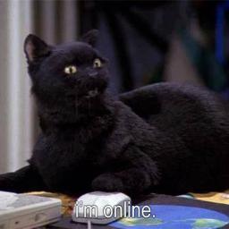 HarethTria's profile picture. 