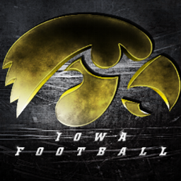 University of Iowa alum '06. Been to every home Iowa game since 2002. #HawkeyeNation #GoHawks #HawksFly