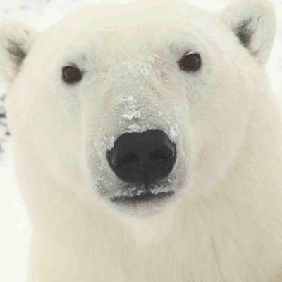 tf3673's profile picture. Collector of Cribbage Boards | My Spirit Animal = Randy California