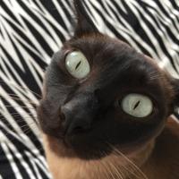 Steve W (@stevew2308) 's Twitter Profile