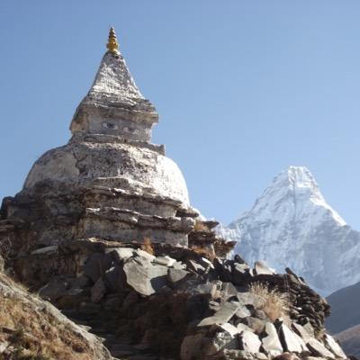 cshield's profile picture. 