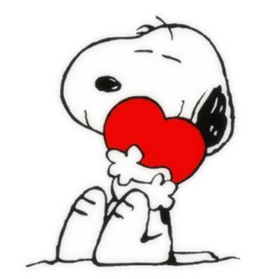 DinaGundert's profile picture. 