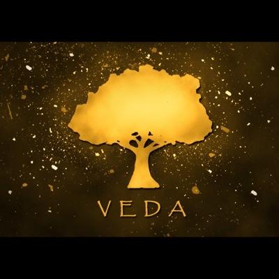 #Shityaar on @disneyplushotstar| Director / Dop @vedaproduction1 | tedx Speaker | Less are the days to be big 😎| ✉️: veda.contact@gmail.com| #letshustle