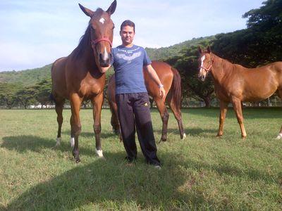 Entrenador profesional de caballos pura sangre de carreras, Caracas, Venezuela