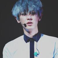 yoleh (@yodaelf) 's Twitter Profile