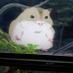 サタたけちゃん (@4xrnclnyabudlab) Twitter profile photo サタたけちゃん (@4xrnclnyabudlab) Twitter profile photo