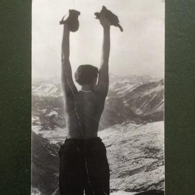 rotterdamshows's profile picture. 