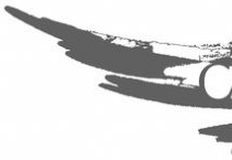 carmenuk's profile picture. 