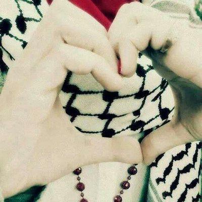 mohammedalsayyd's profile picture. 