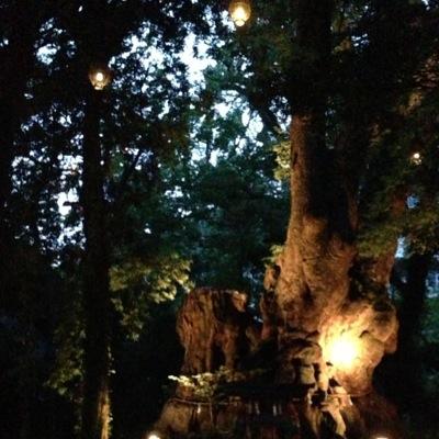 AZuKnown's profile picture. 遥か昔に成人済み残念shipper腐り過ぎ！星野架名先生作品一生好き！普段は刀剣乱舞大好きな審神者💕ちいさきいのち愛❤️特におだて組・器物破損コンビ(燭へし主食)・P4相棒推し！2.5も好き❤️レサパン沼・TGM沼にも棲息中！基本急浮上&急速潜航。無言フォロすみません！R/B/Fはご自由に。ツイプロ必読お願いします。