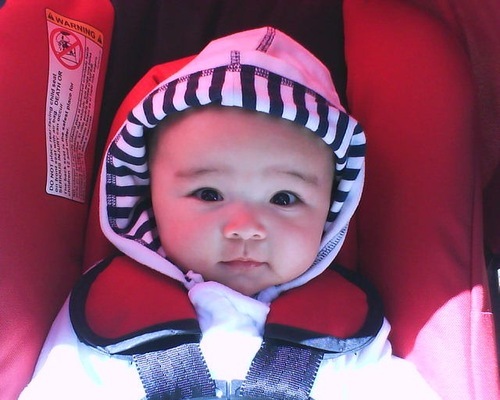 EcoAmericanBaby's profile picture. Helping others through providing information on a green living. Offering the best in organic American made baby products. Like always 10% goes to chairty.