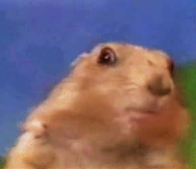 kallell's profile picture. 