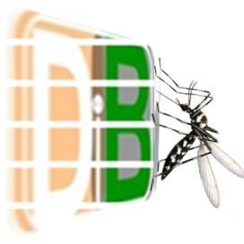 Um Blog Biomédico informativo. A ideia é dar voz a pessoas conhecidas e desconhecidas. O fator determinante é compartilhar conhecimentos e experiências.