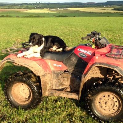 101mhski's profile picture. 