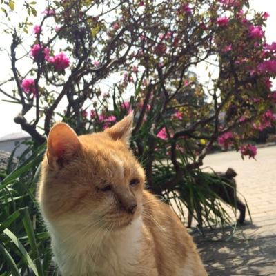 naaan1112's profile picture. 